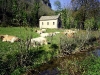 s4010077.jpg