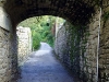 s4018287.jpg